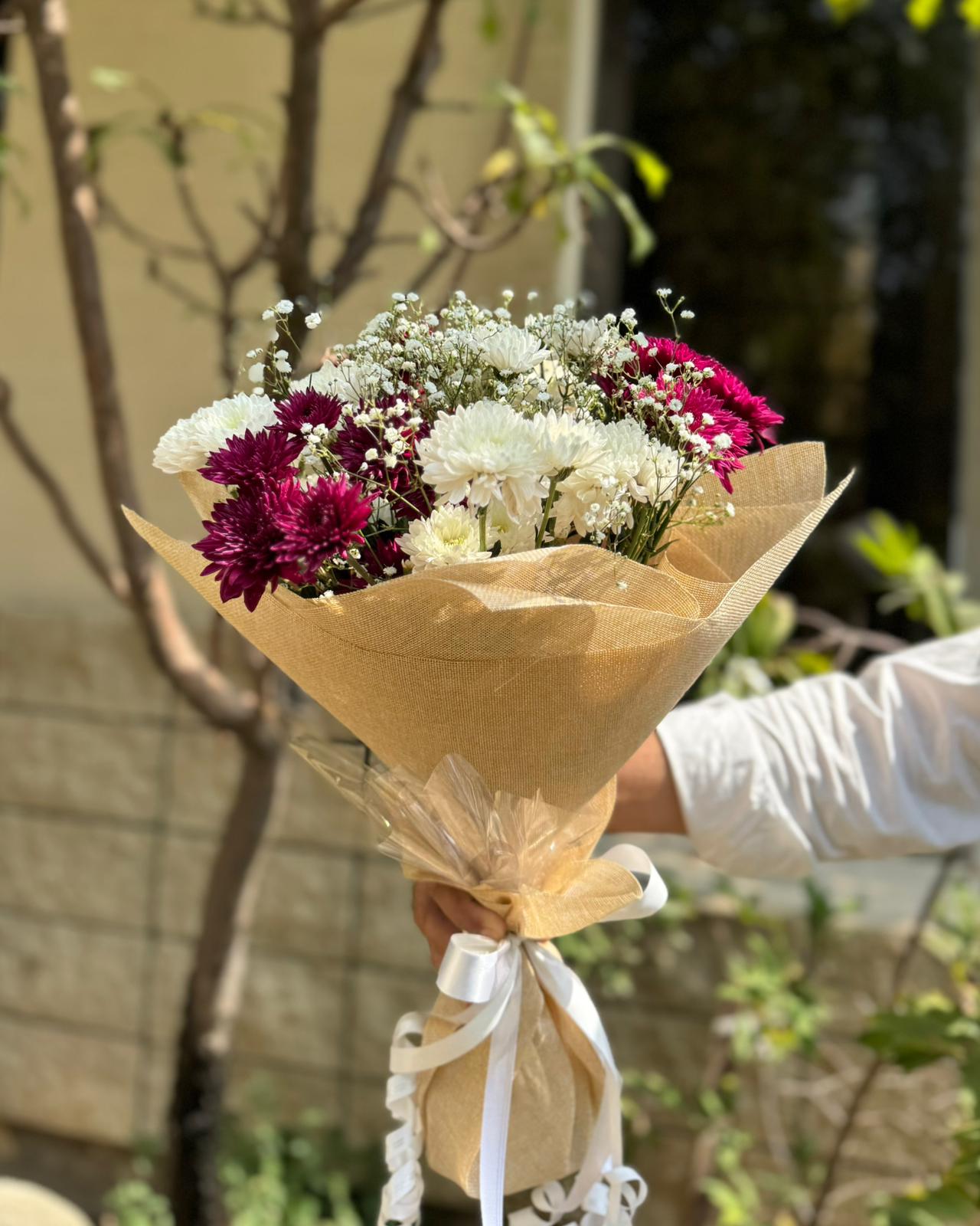 Chrysanthemum Blooms